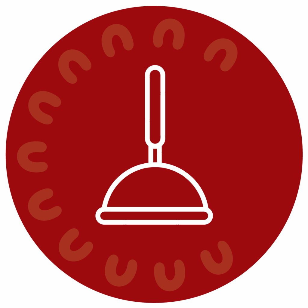 Steam cleaning
